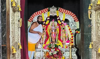 ரத்தினகிரி முருகன் கோயிலில் காவடி சுமந்து பக்தர்கள் வழிபாடு!